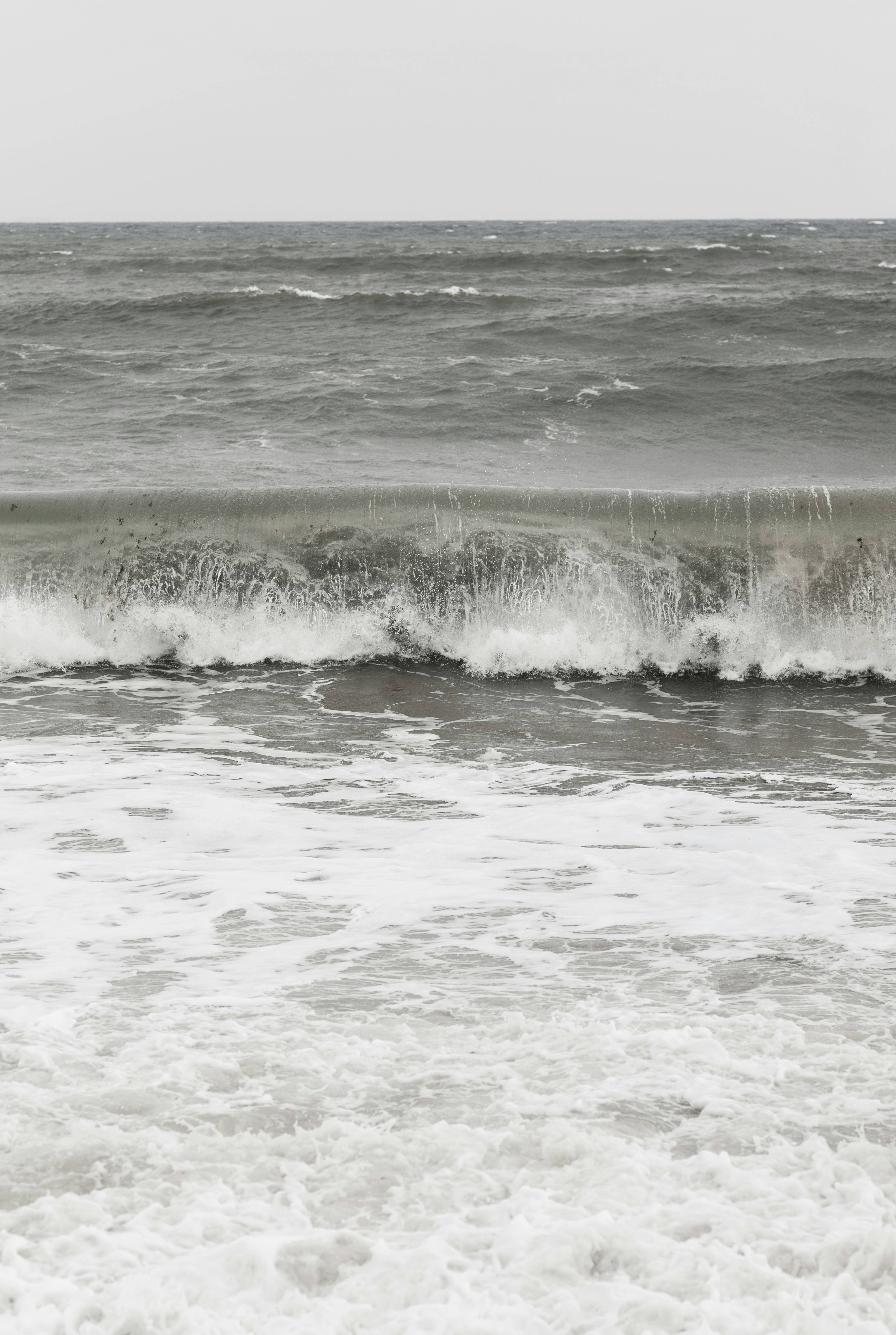 Photo by victor_vector