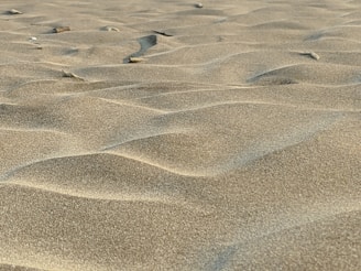 a close-up of elegantly layered textures in warm sand and deep olive, embodying the 'organic luxury' palette