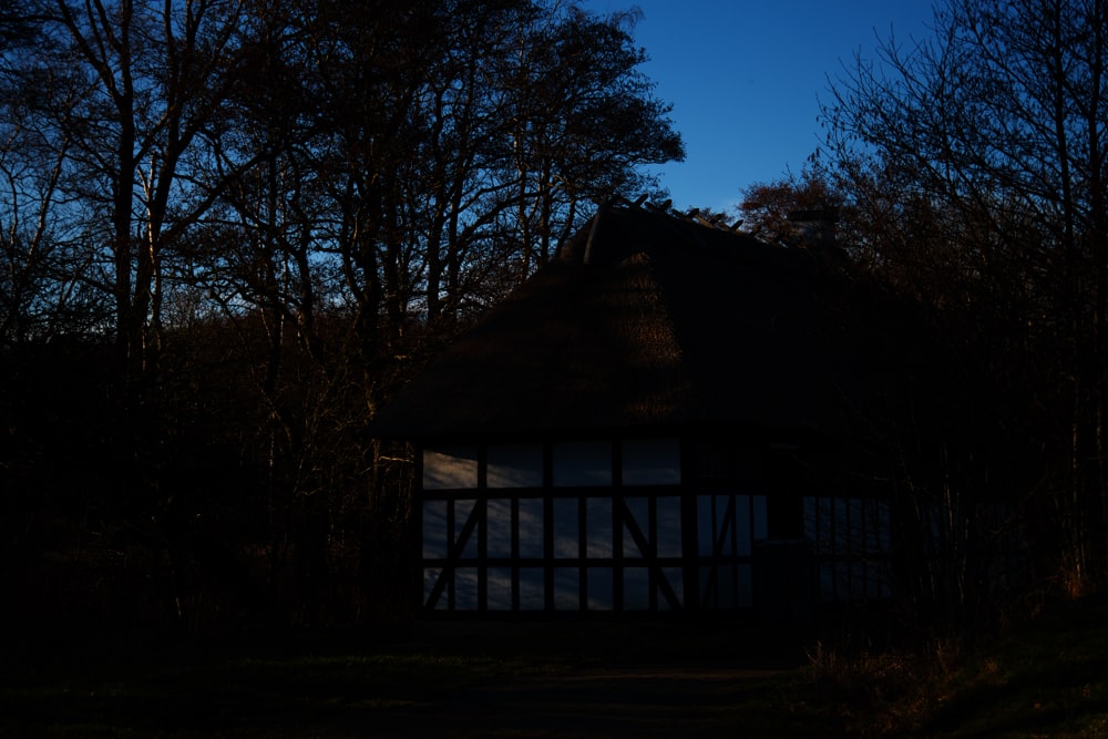 brown wooden house near bare trees under blue sky during daytime