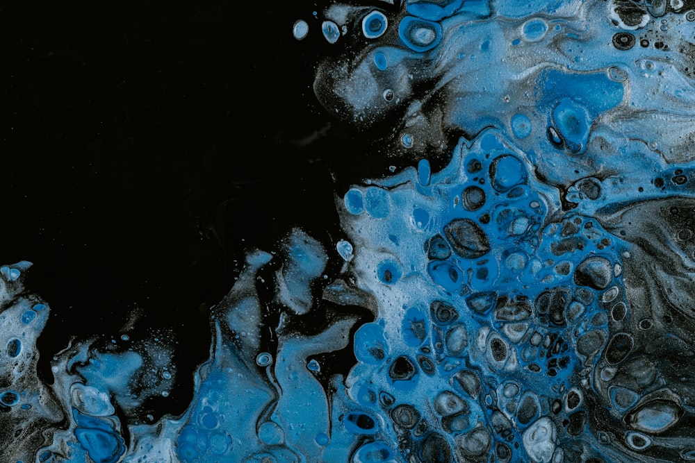 Wassertröpfchen auf schwarzem Hintergrund
