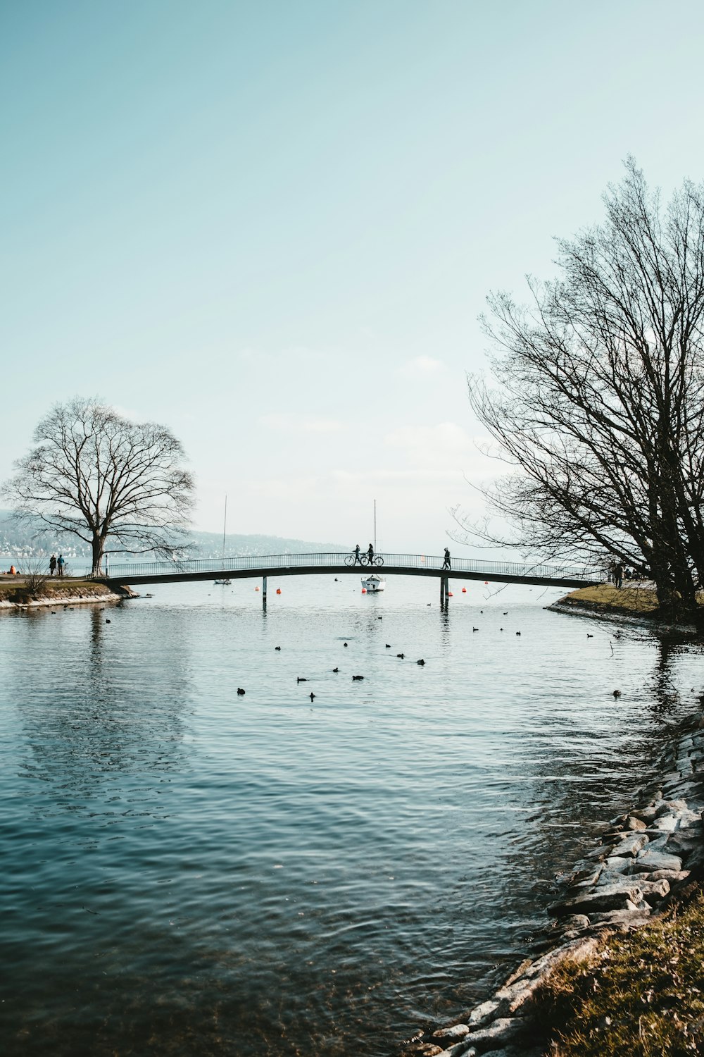 plan d’eau près des arbres pendant la journée