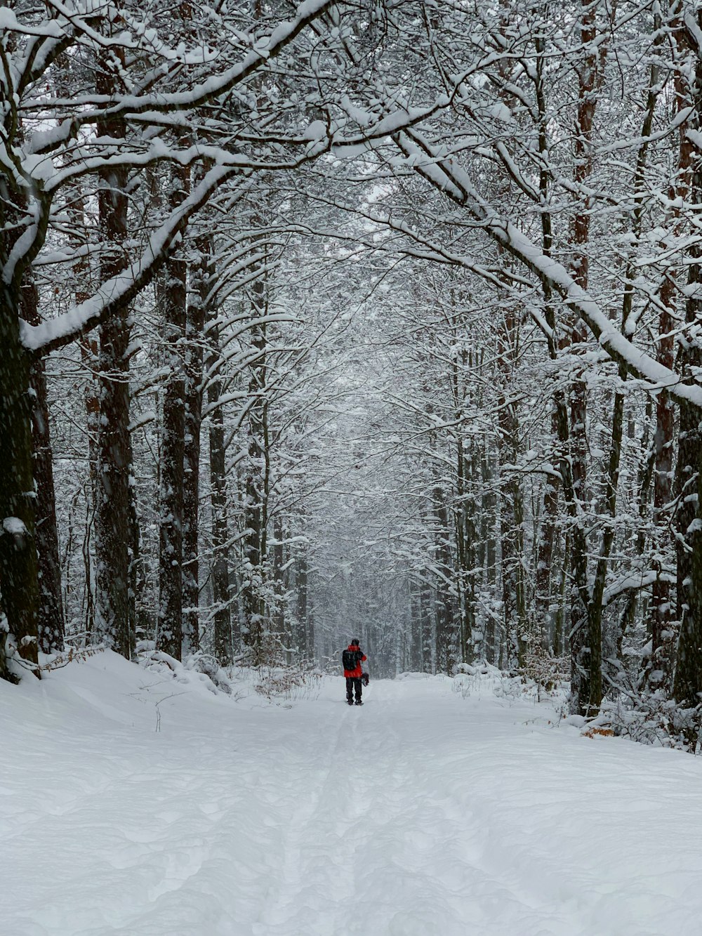 person in red jacket and black pants walking on snow covered ground between bare trees during