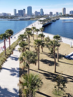 A wide walkway lined with palm trees stretches towards a waterfront, with a city skyline in the background. People are walking along the path, surrounded by grass and clear blue water.