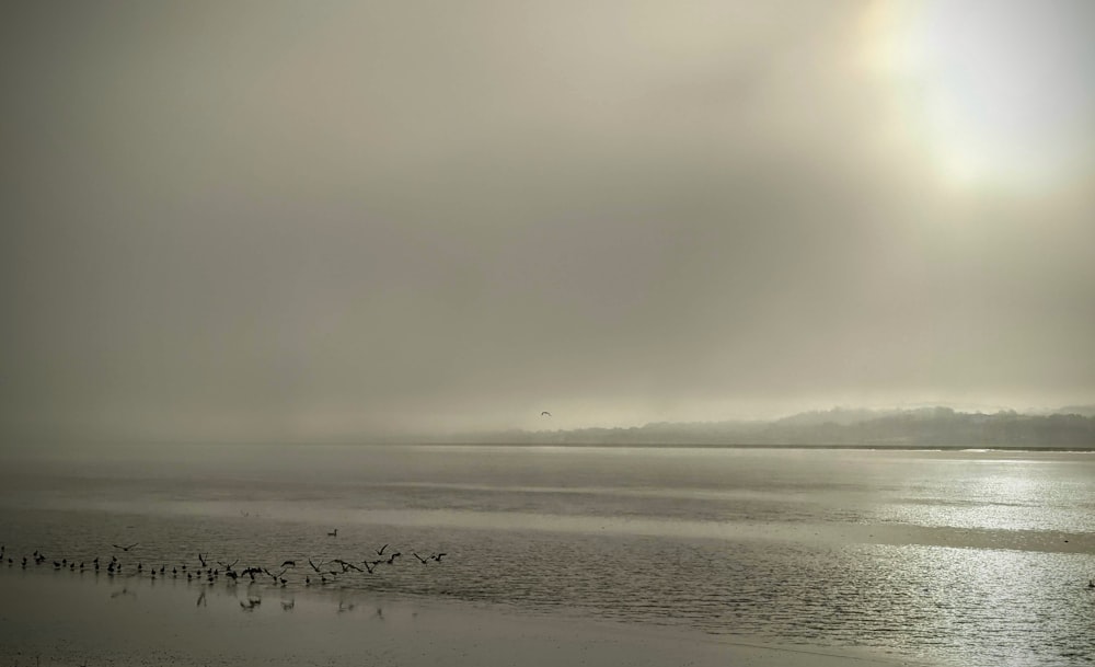 body of water under cloudy sky during daytime