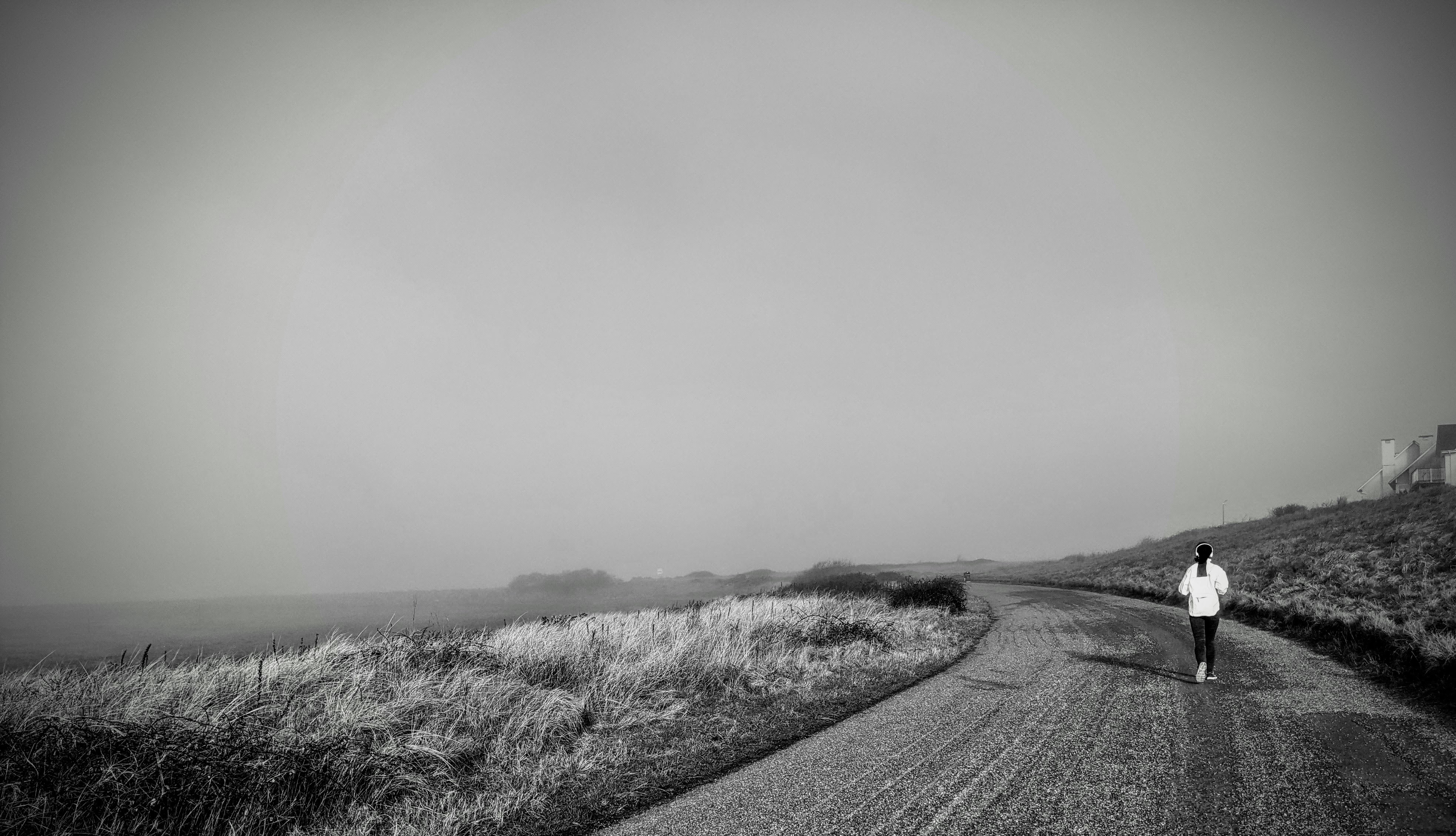 grayscale photo of road in the middle of grass field