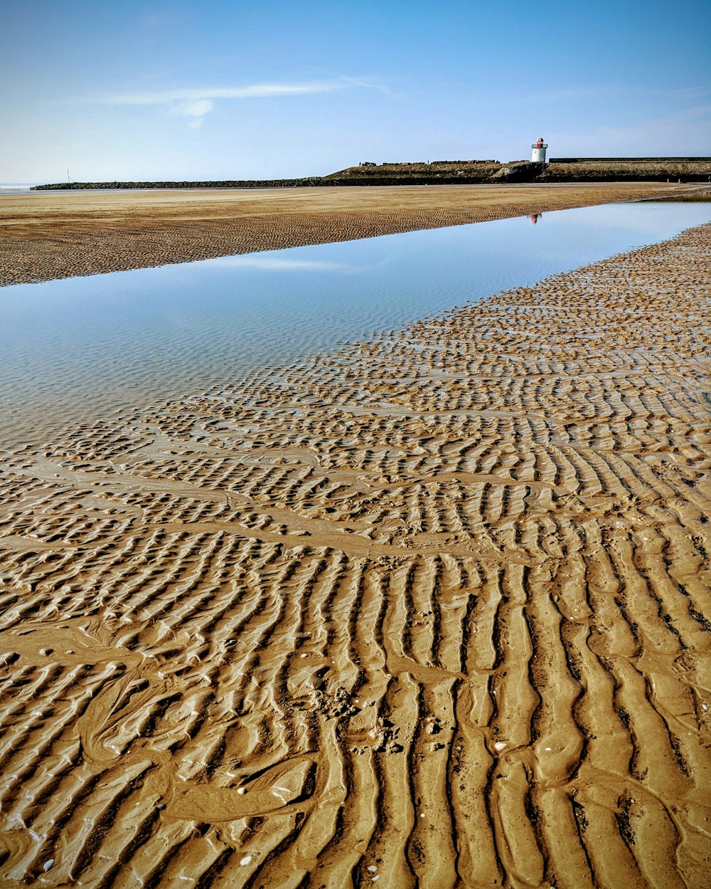 people walking on brown sand during daytime