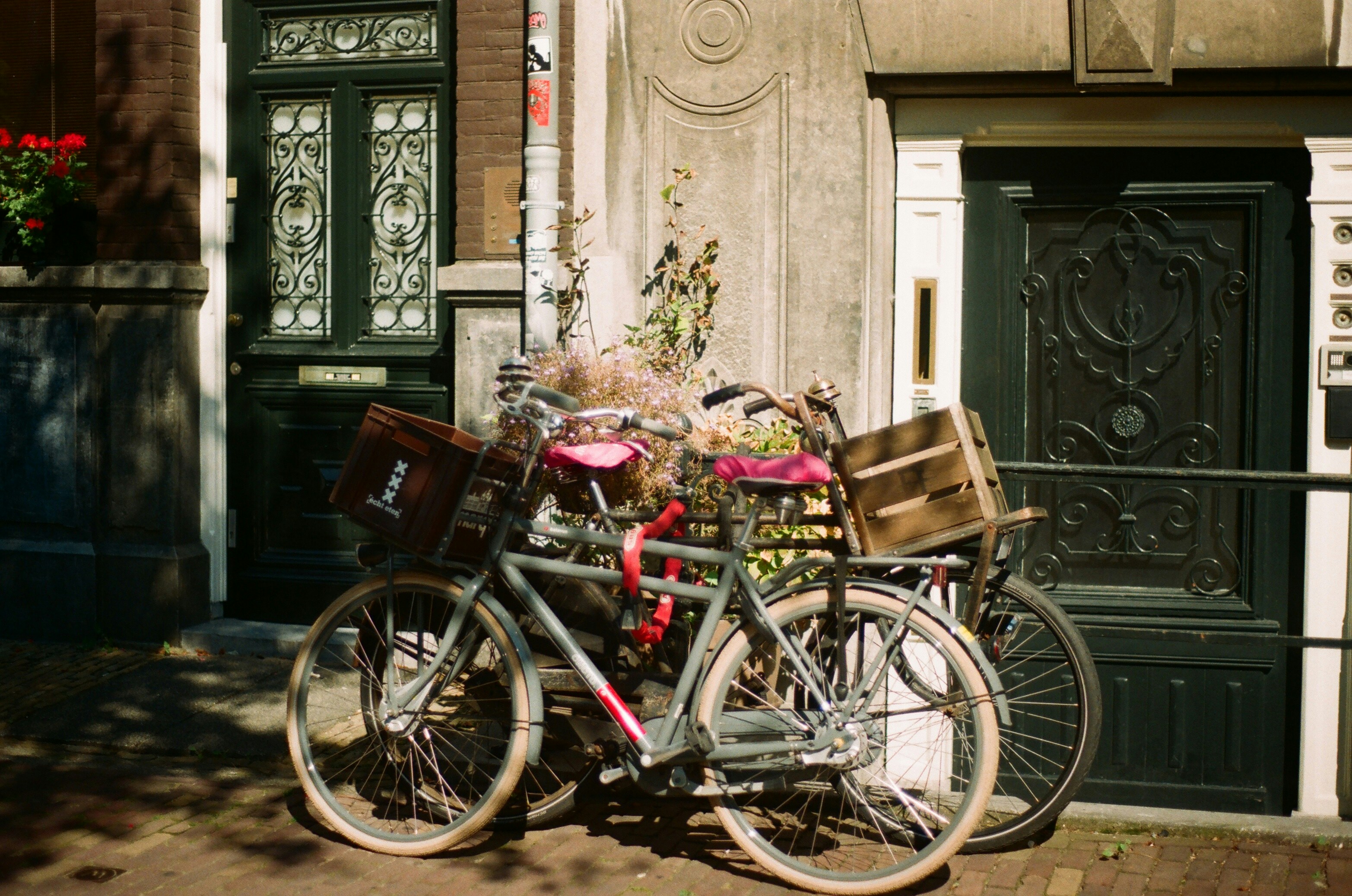 pink and white city bikes parked beside brown wooden door, 
