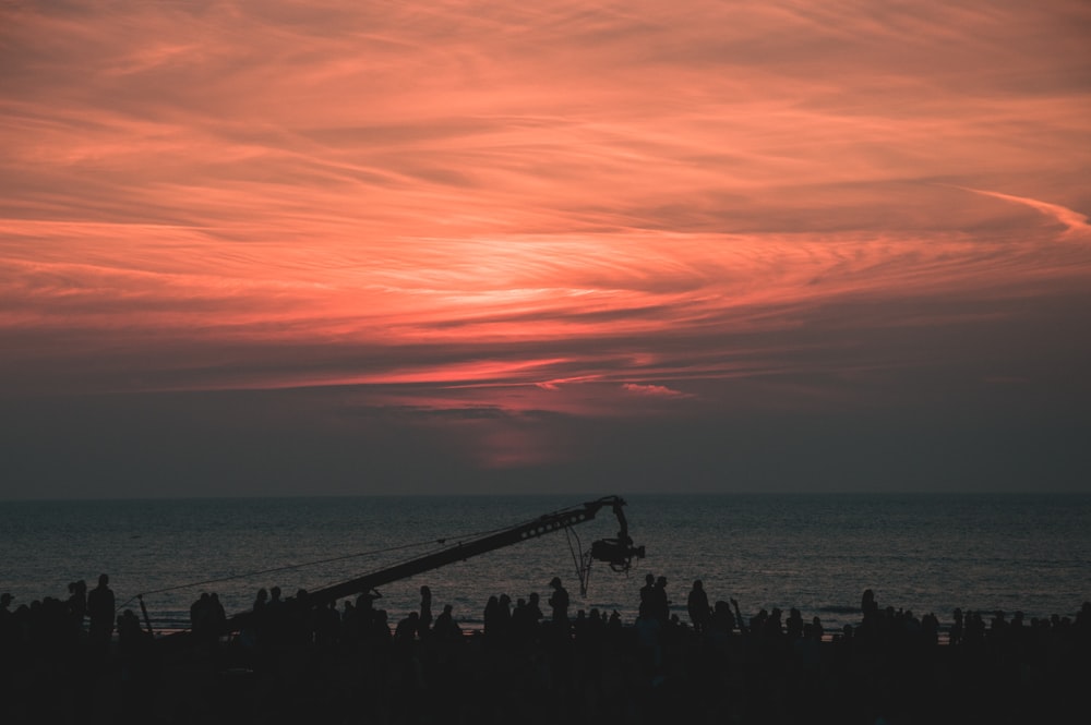 silhouette of people on beach during sunset