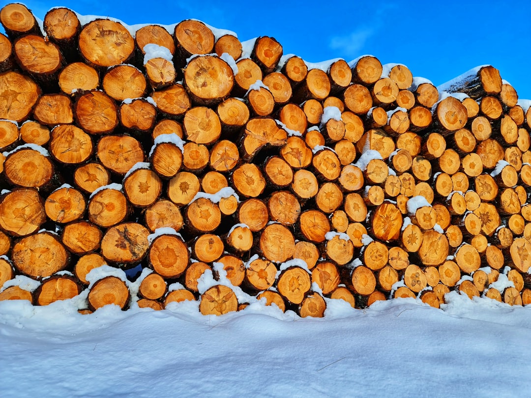 pile of brown wood logs on snow covered ground