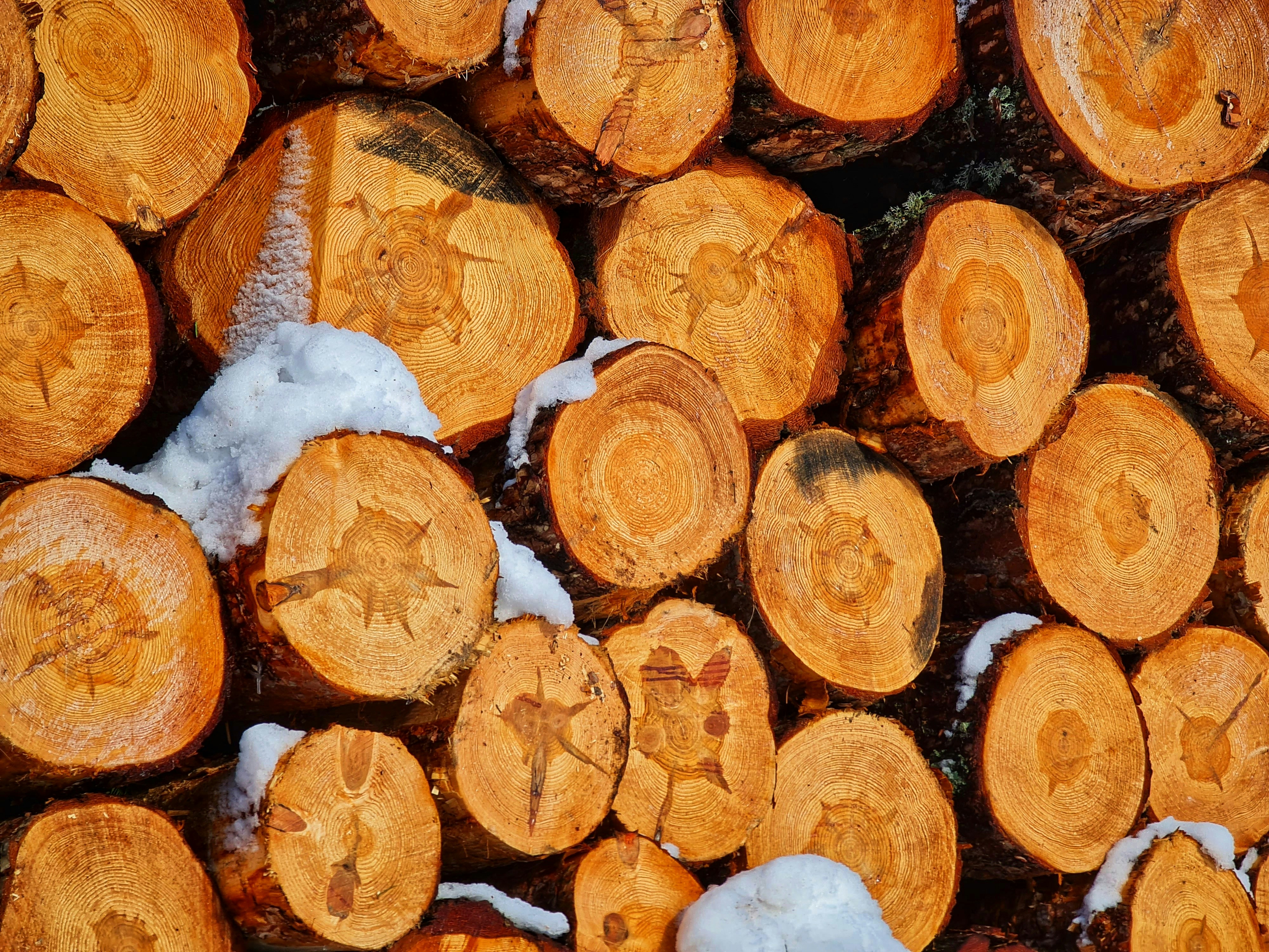 Photo by quentincaron