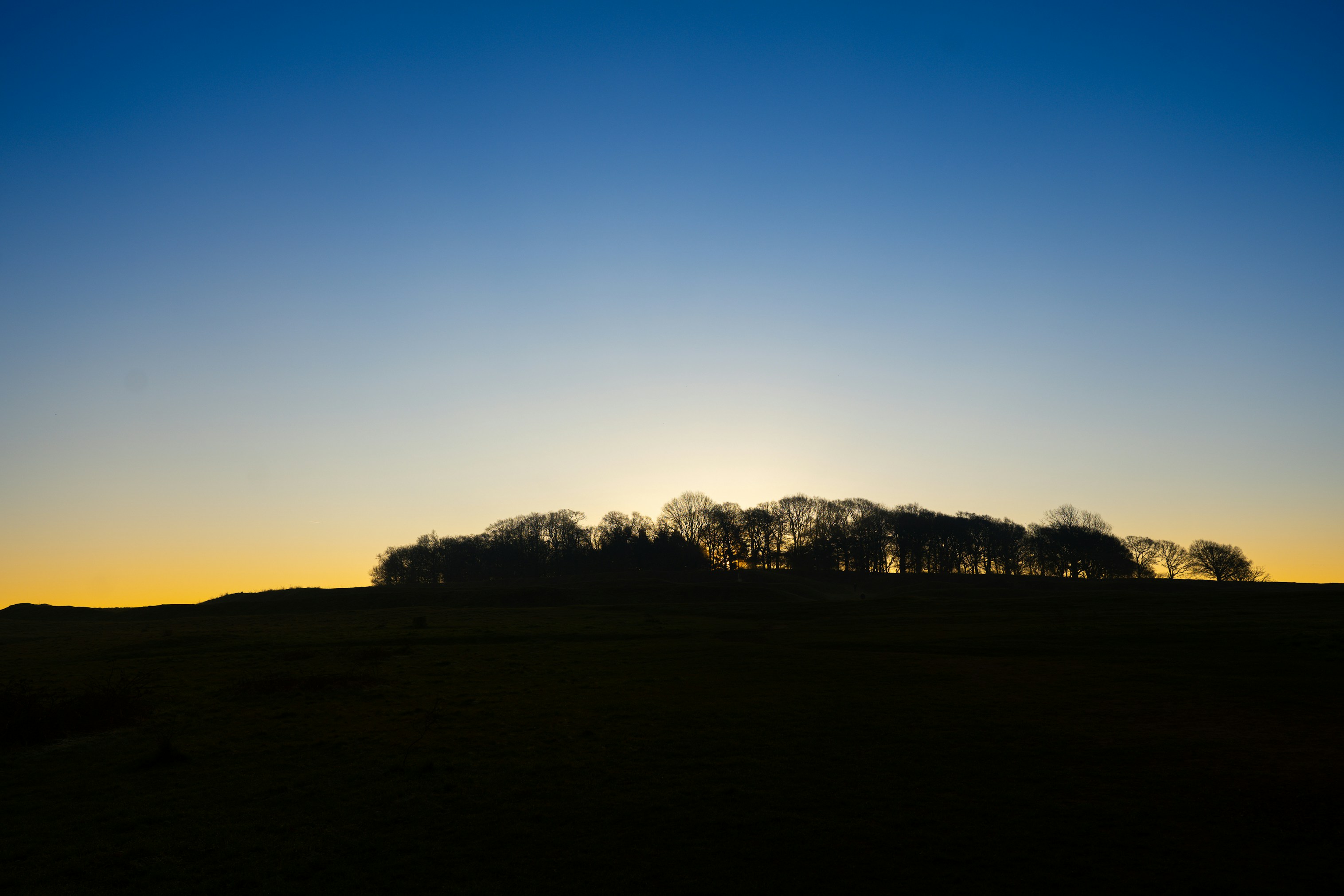 Photo by jannerboy62