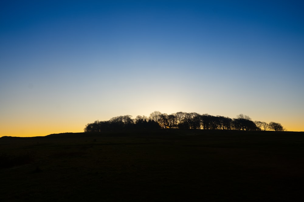 silhouette of trees under blue sky during daytime