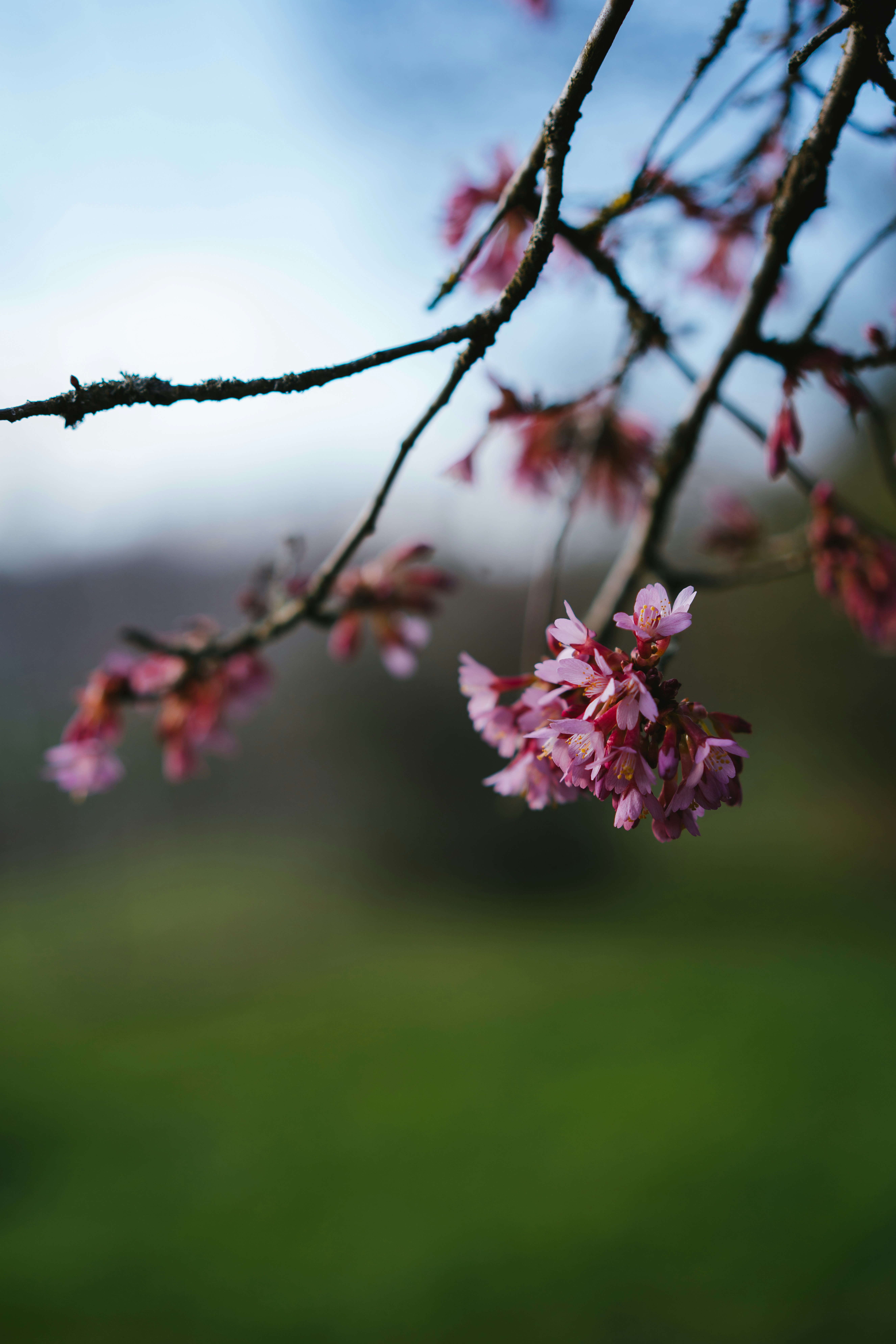 Photo by philhearing