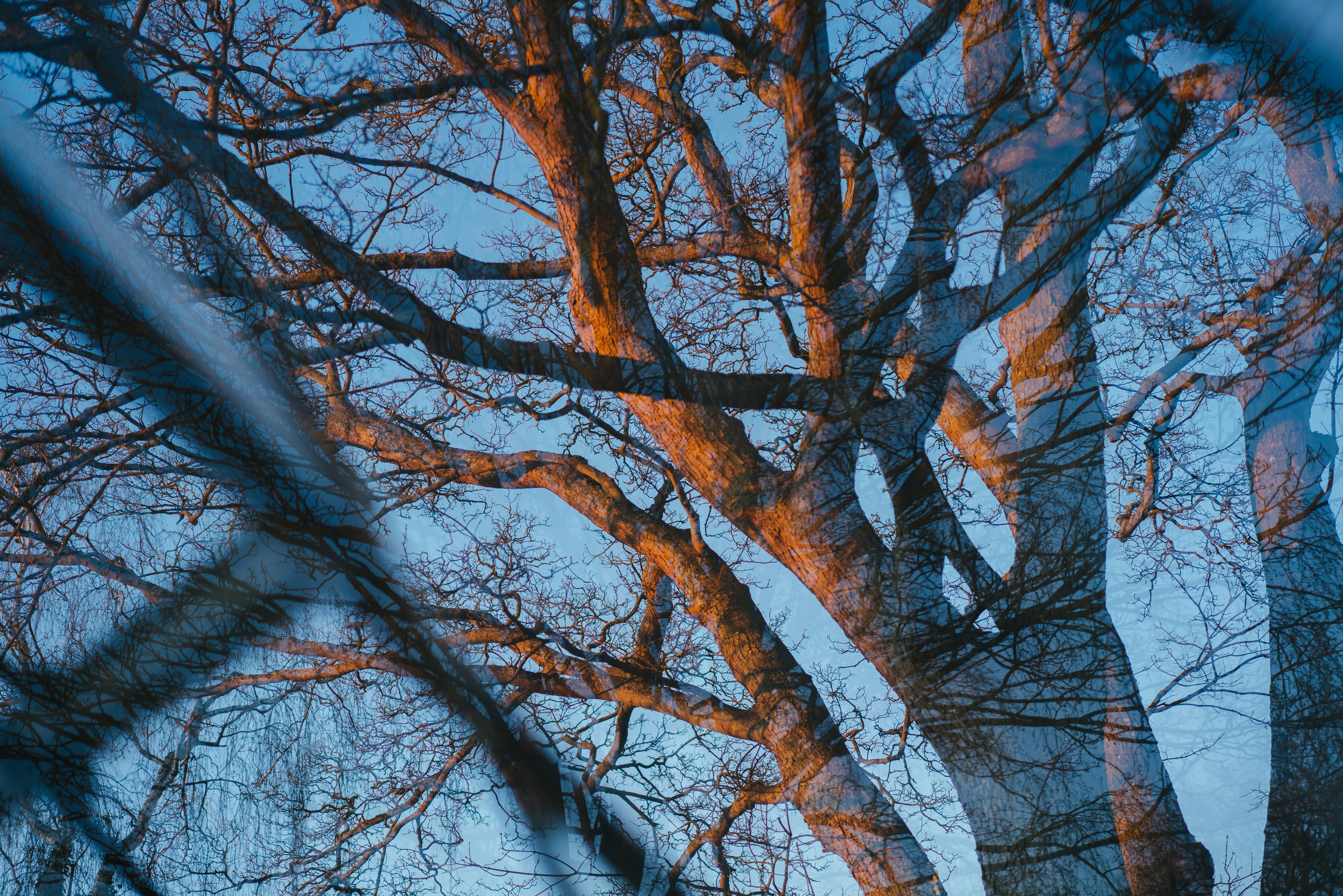 Photo by philhearing