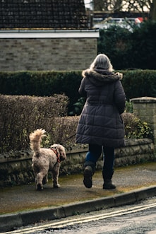 woman in black coat and blue denim jeans walking with brown dog on sidewalk during daytime