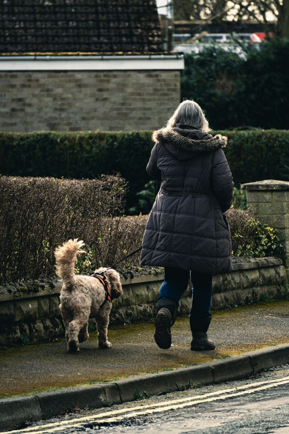 Femme en manteau noir et jean bleu marchant avec un chien brun sur le trottoir pendant la journée