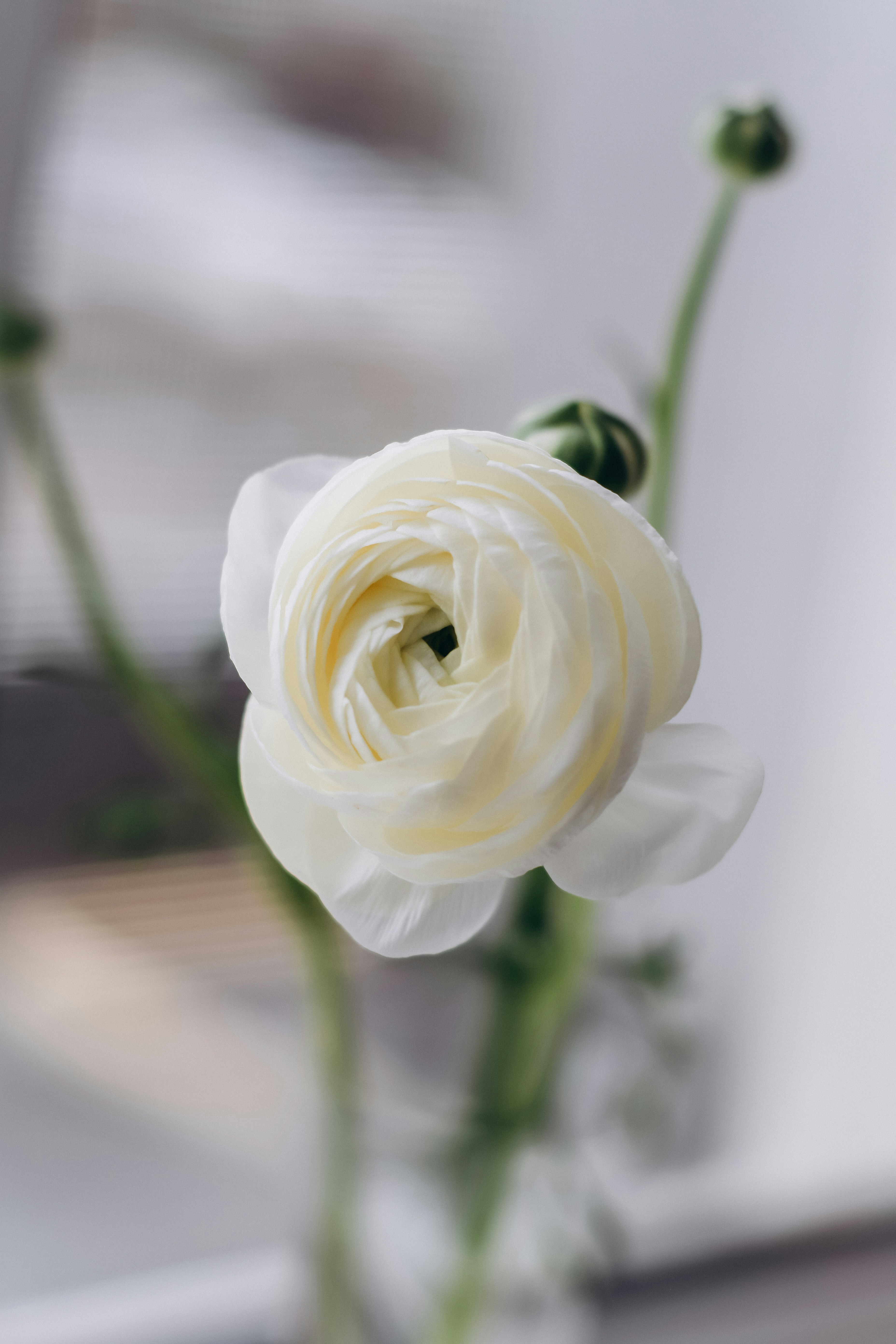 Photo by raspopovamarisha