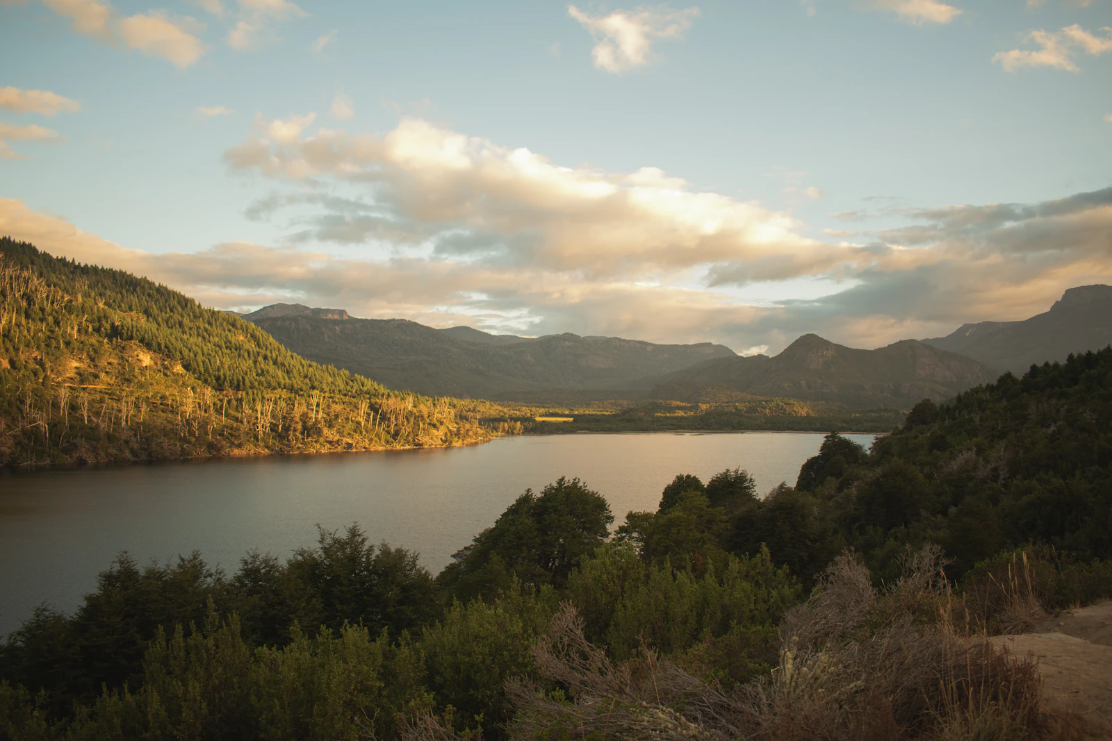 Lago Machónico beside the Seven Lakes corridor in Neuquén