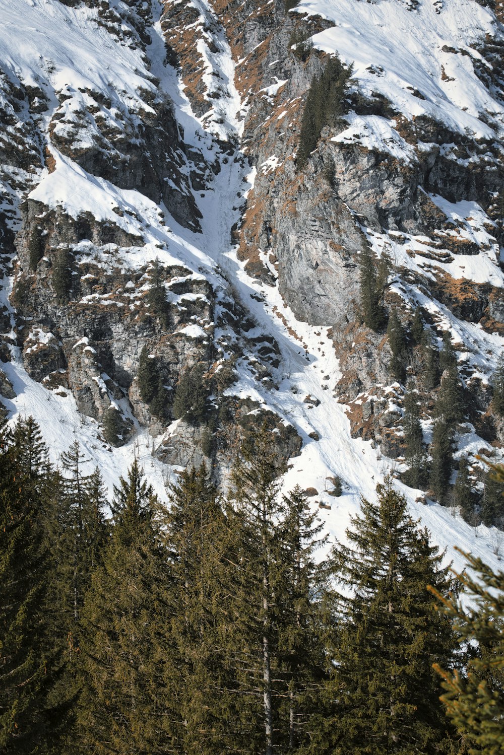 montagne enneigée pendant la journée