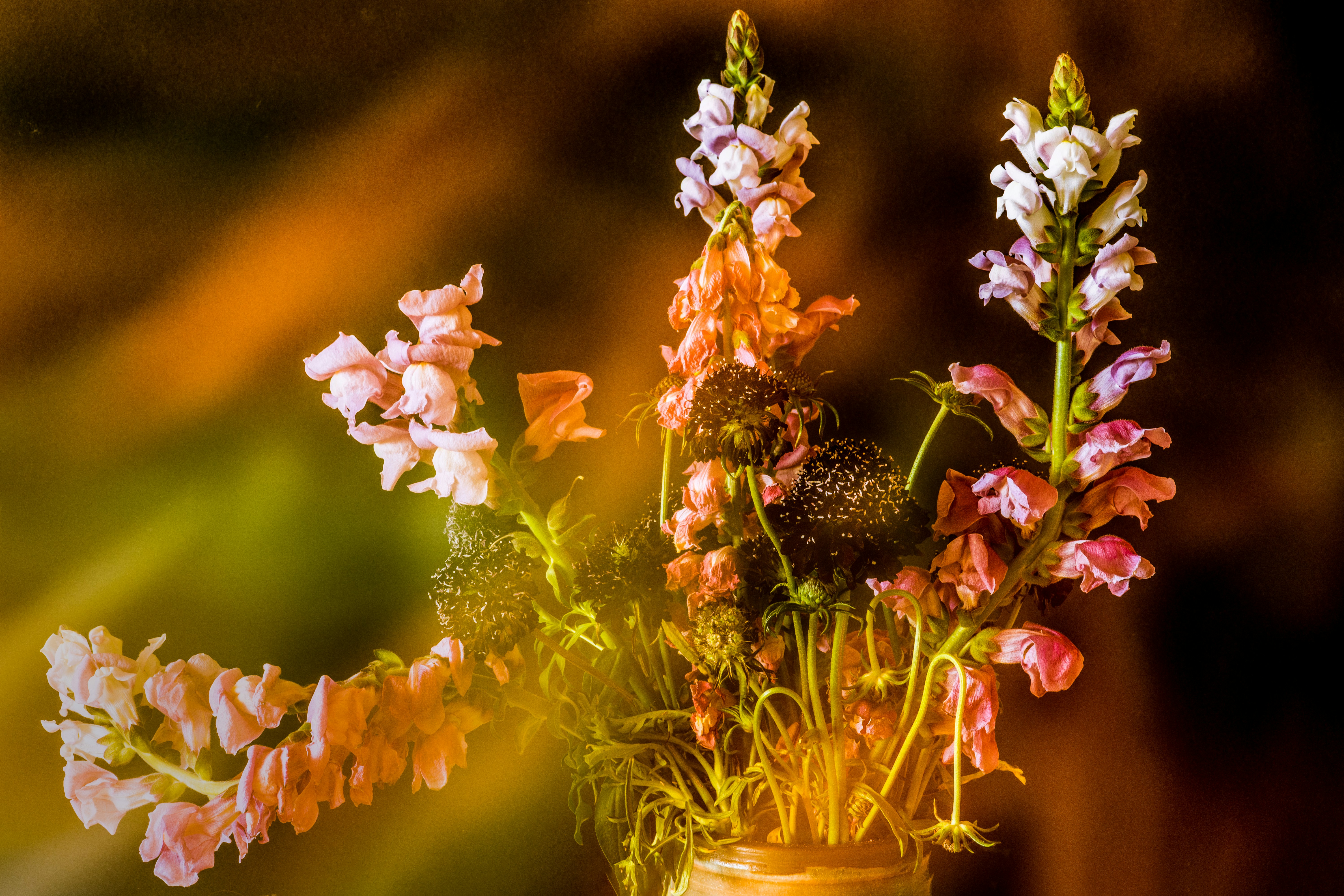 Photo by earl_plannerzone