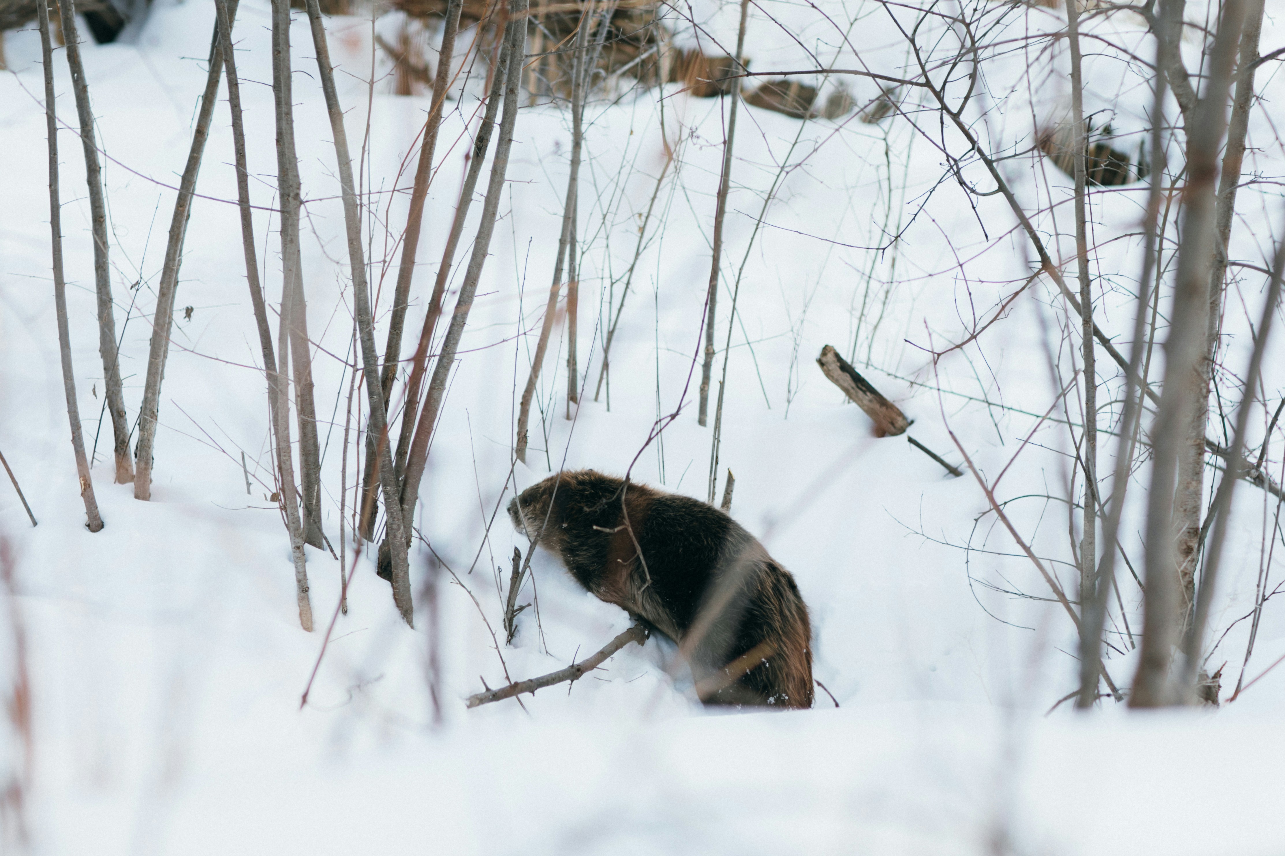 Photo by maddyhuntphoto