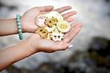 person holding three brown and white cookies