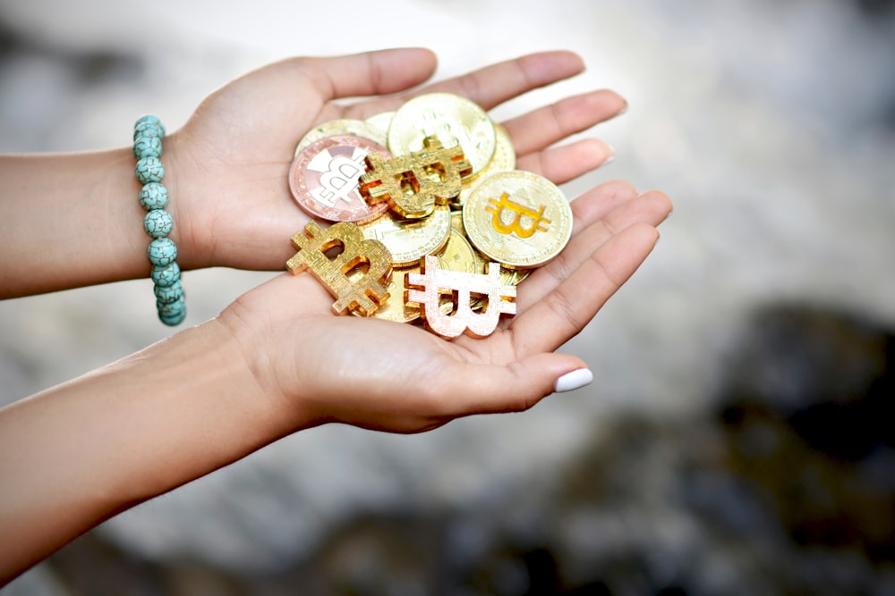 person holding three brown and white cookies