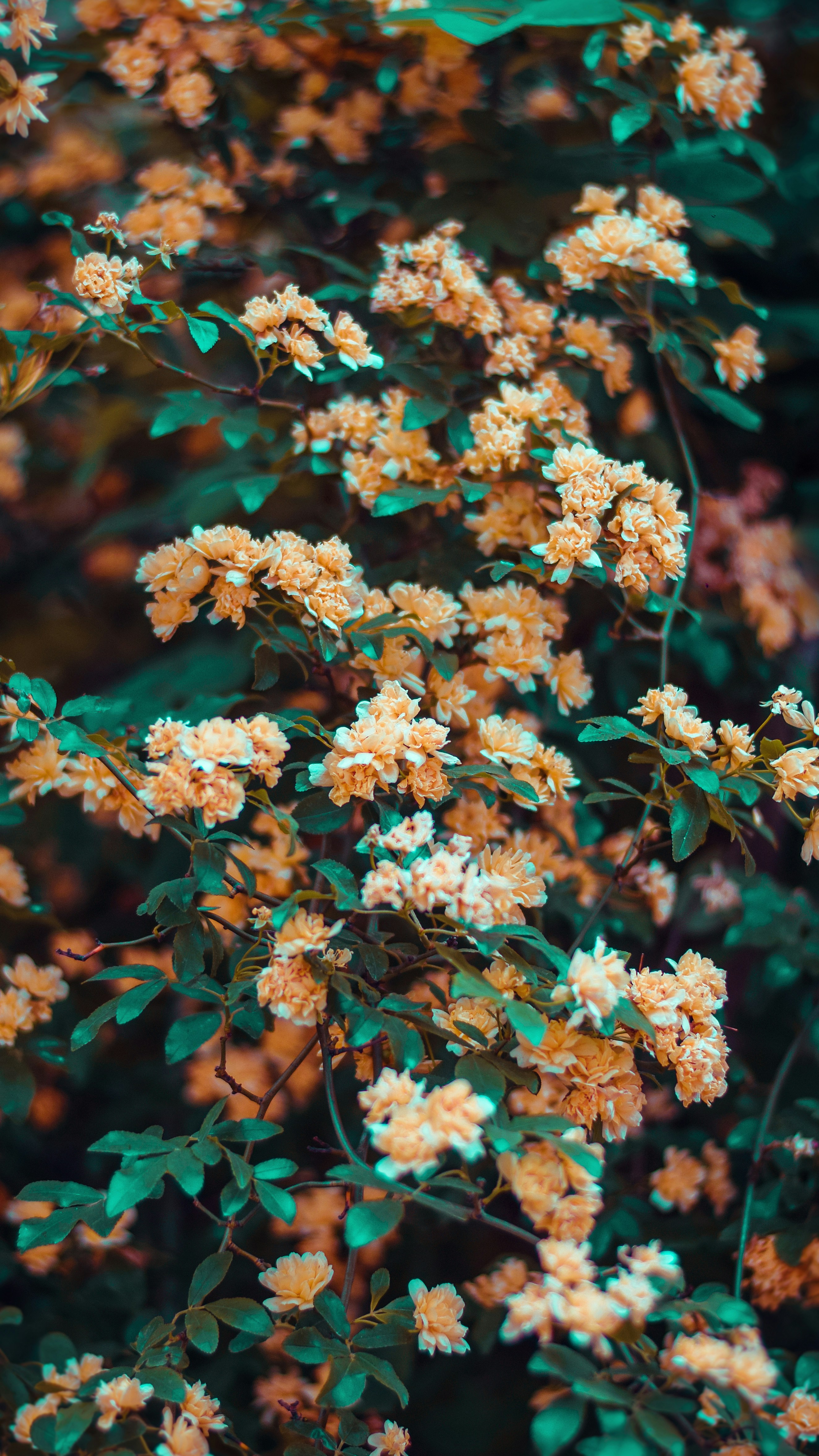 Photo by mohammadreza_artwork