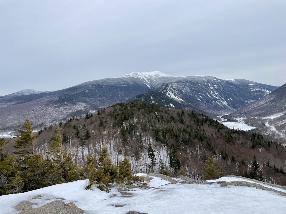 arbres verts sur la montagne enneigée pendant la journée