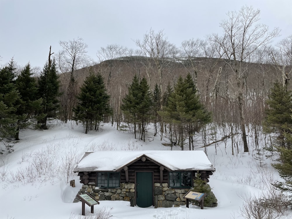 brown wooden house on snow covered ground