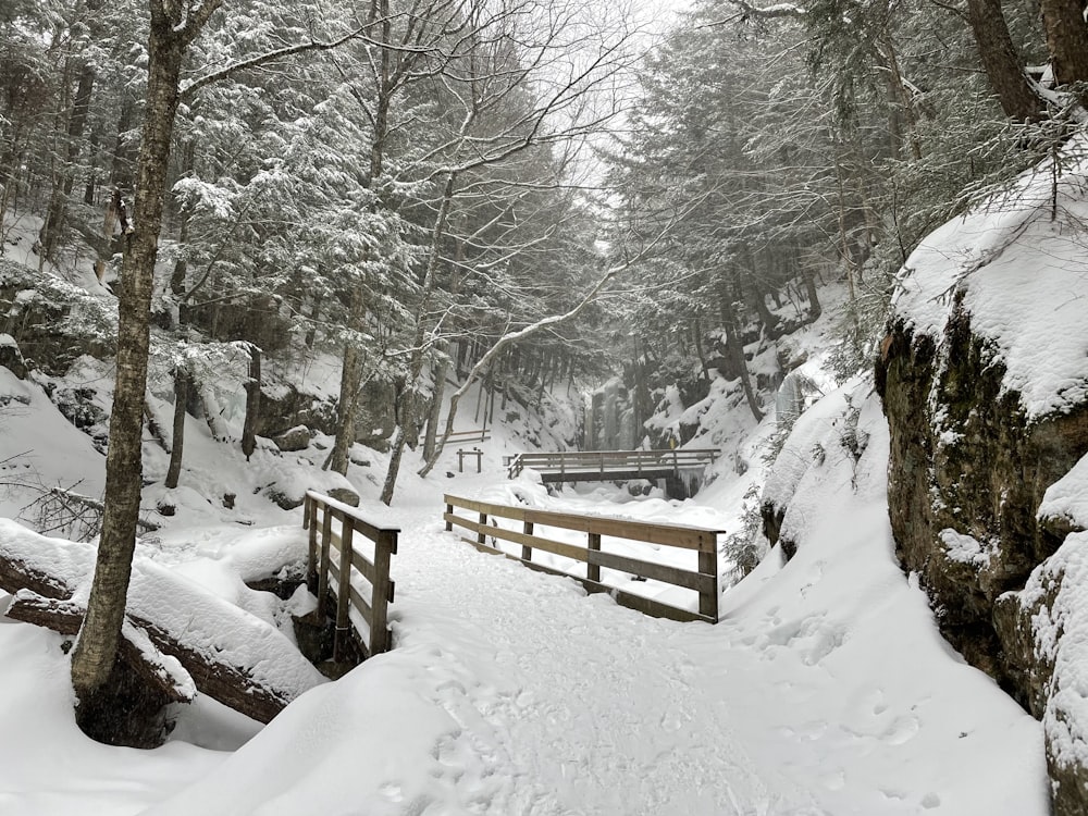 brown wooden bench on snow covered ground