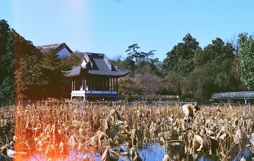 brown and white house near green trees under blue sky during daytime