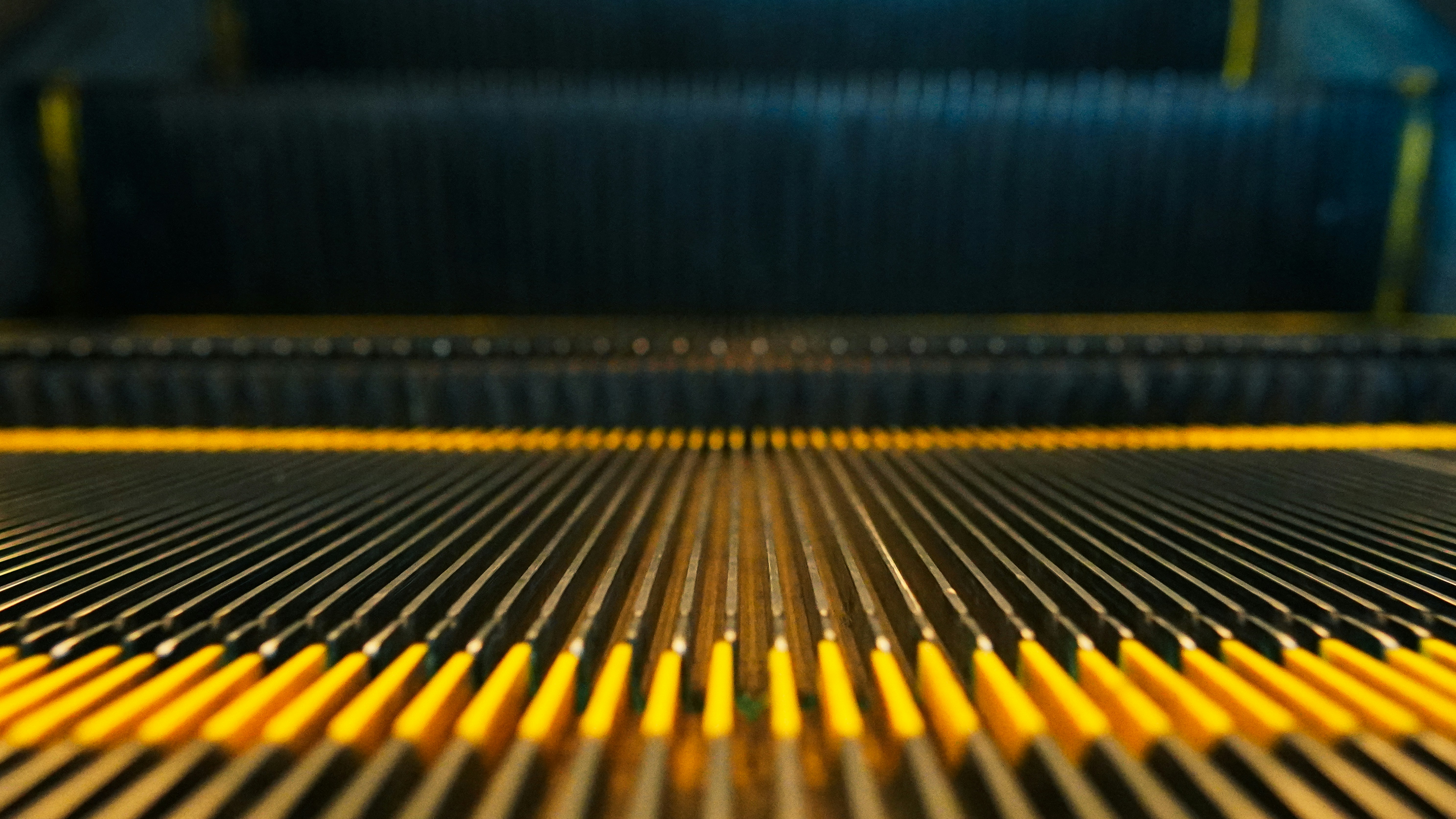 Photo by kindandcurious