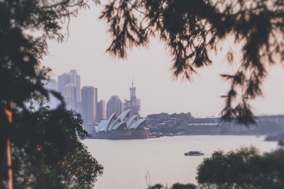 A view of a cityscape featuring the iconic Sydney Opera House in the foreground, with modern skyscrapers in the background. The scene is framed by blurred tree branches, adding a sense of natural framing to the urban landscape. A boat is visible on the water, enhancing the scenic beauty of the harbor area.