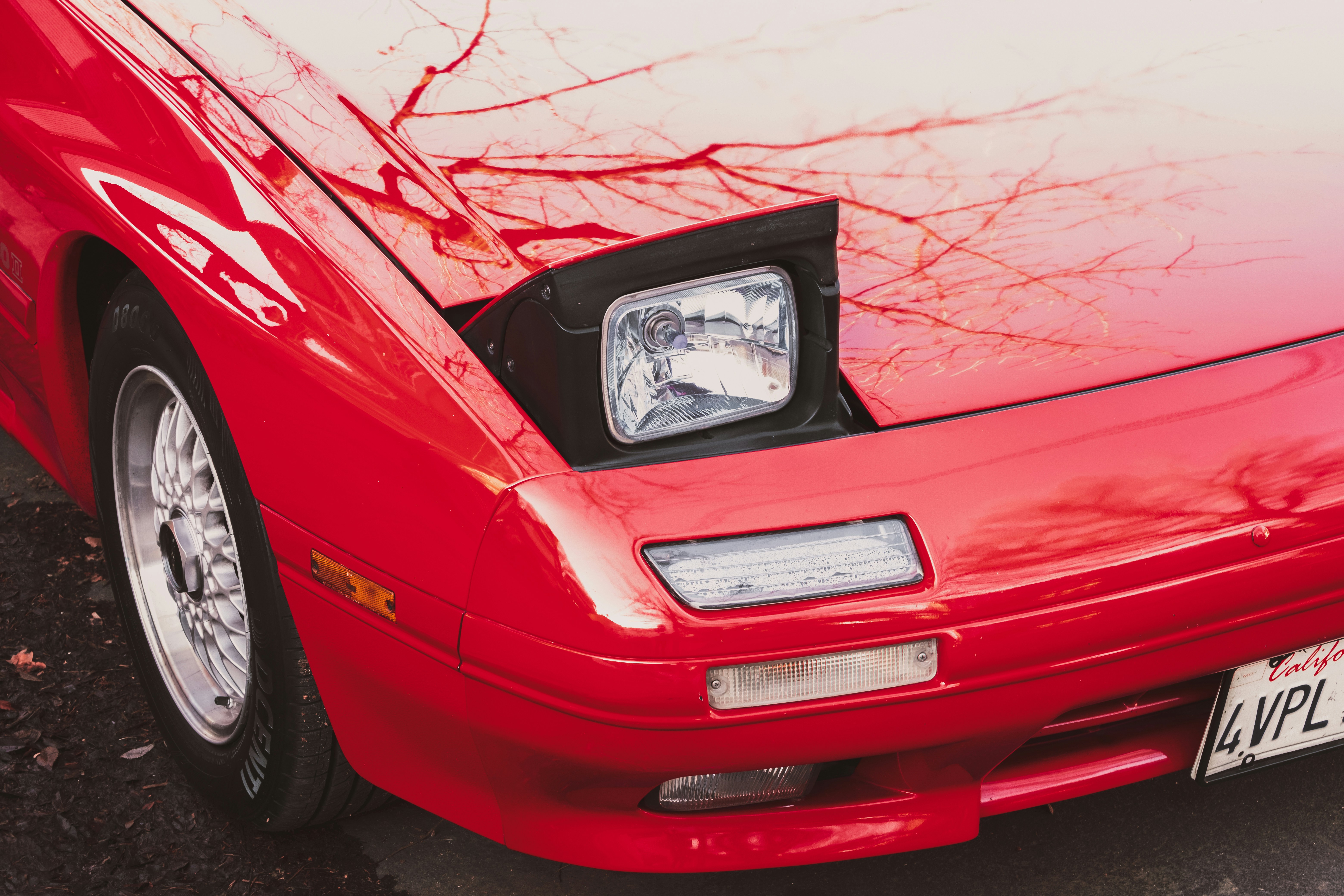 Photo by parsoakhorsand