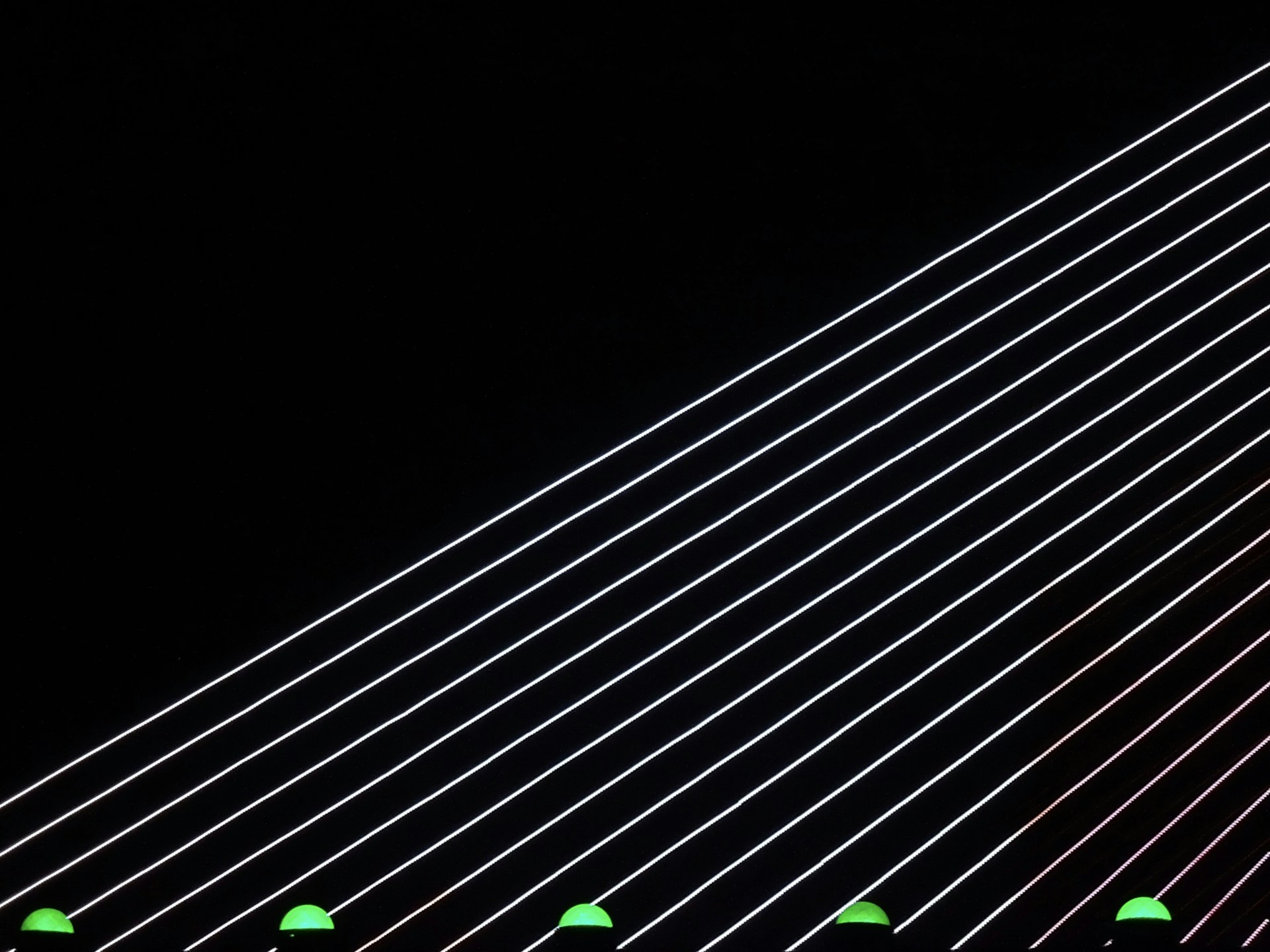 black and white bed linen