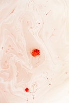 red ladybug on white surface