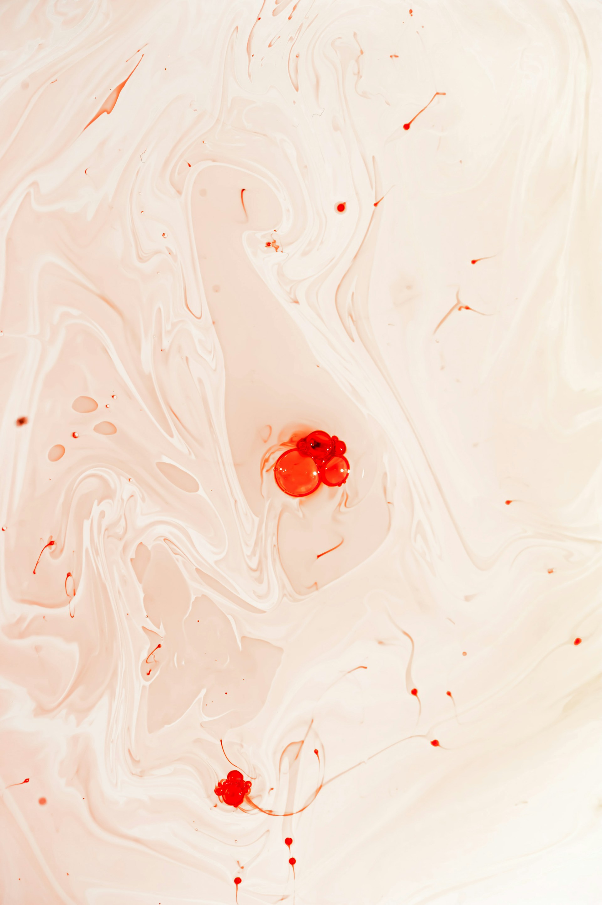 red ladybug on white surface