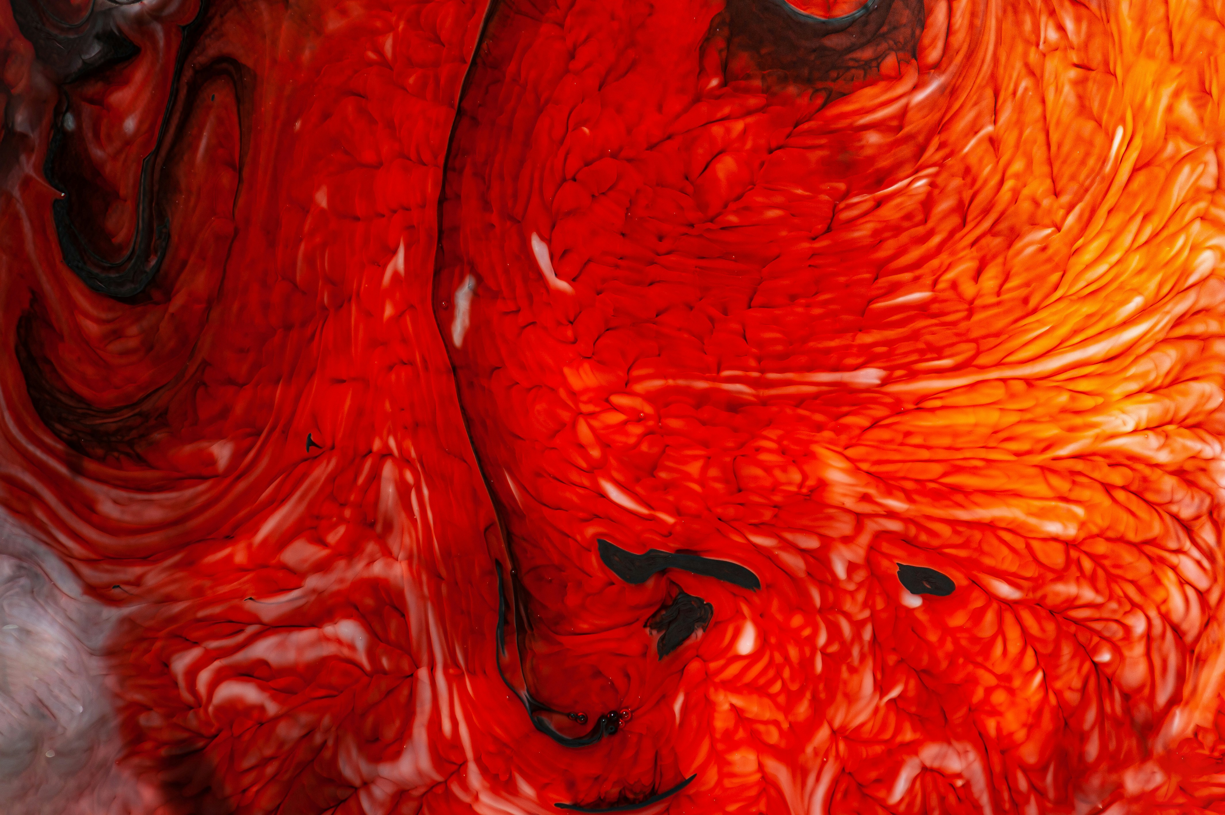 赤い絵の写真 Unsplashで無料写真をダウンロードする