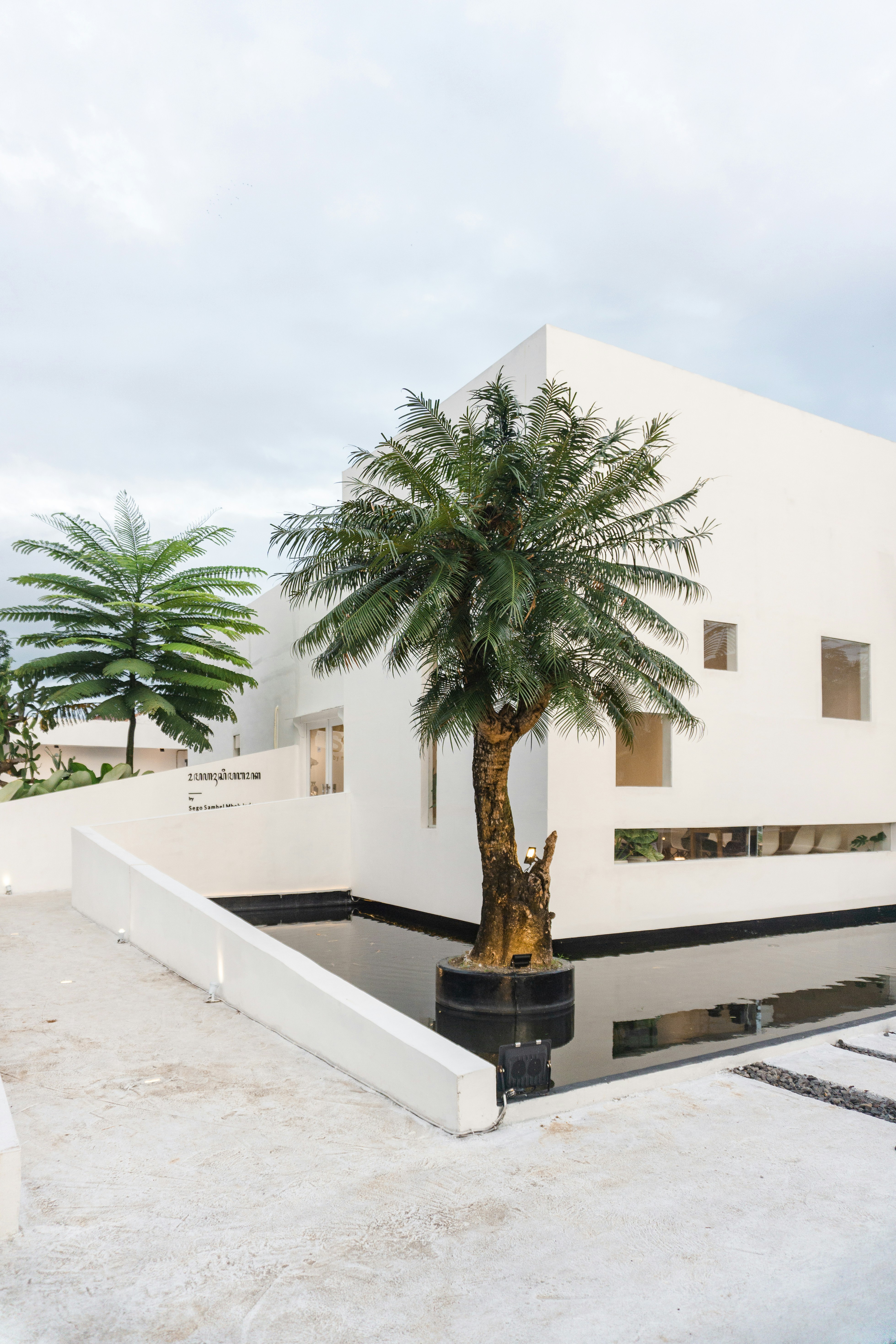 Photo by axelbimashanda