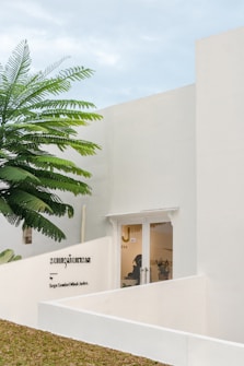 A modern building with minimalist design features bright white walls and a large glass door. A tall tree with vibrant green leaves stands adjacent to the building, adding a natural element to the urban setting. The sky above is overcast, contributing to a serene atmosphere. There is signage on the wall next to the door.