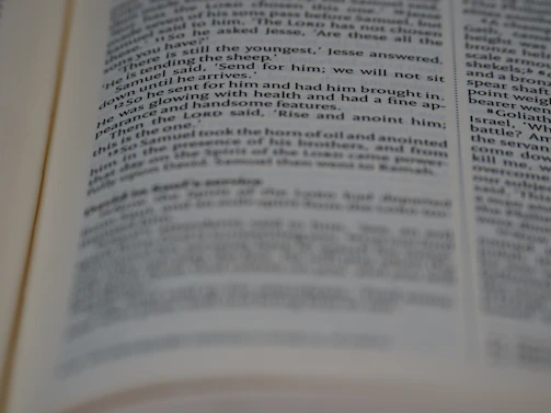 A quiet moment of focus as a translator works on Indonesian to English text.