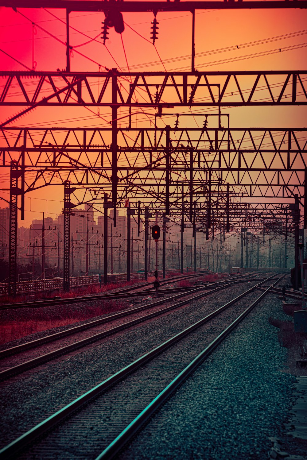 train rail tracks near bare trees during daytime