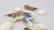 A colorful enamel pin in the shape of a sea turtle featuring shades of blue, green, and gold. The pin is placed on a light, neutral background along with several white seashells and a few brown dried leaves scattered around.
