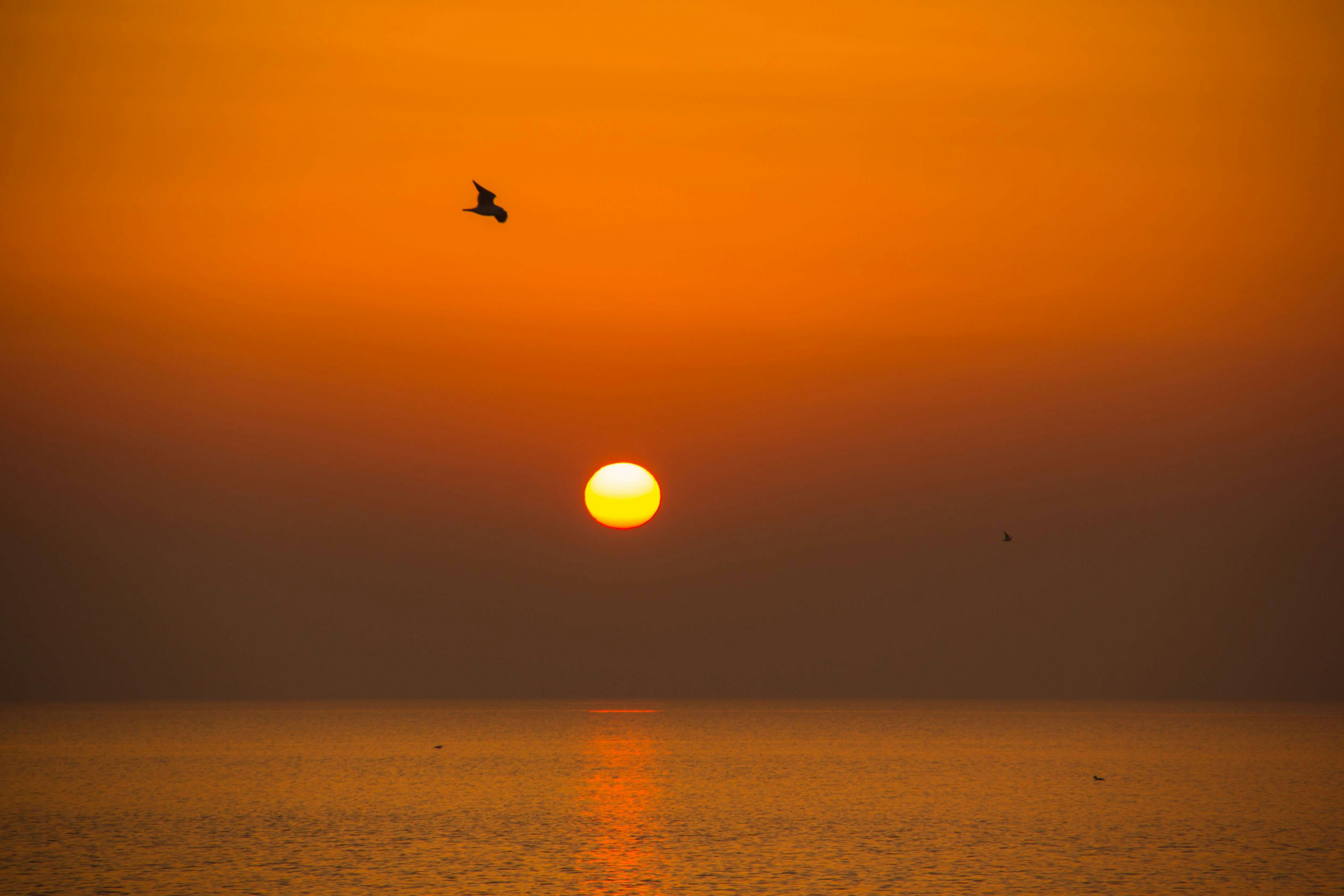 Photo by haixingzhang