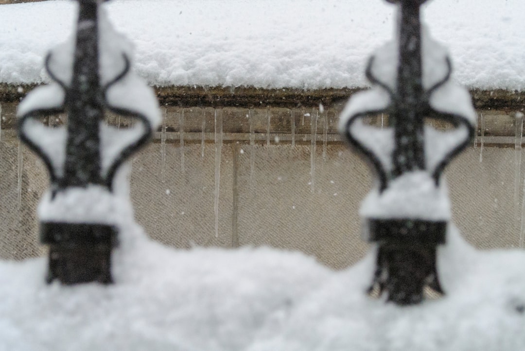 snow covered black metal fence