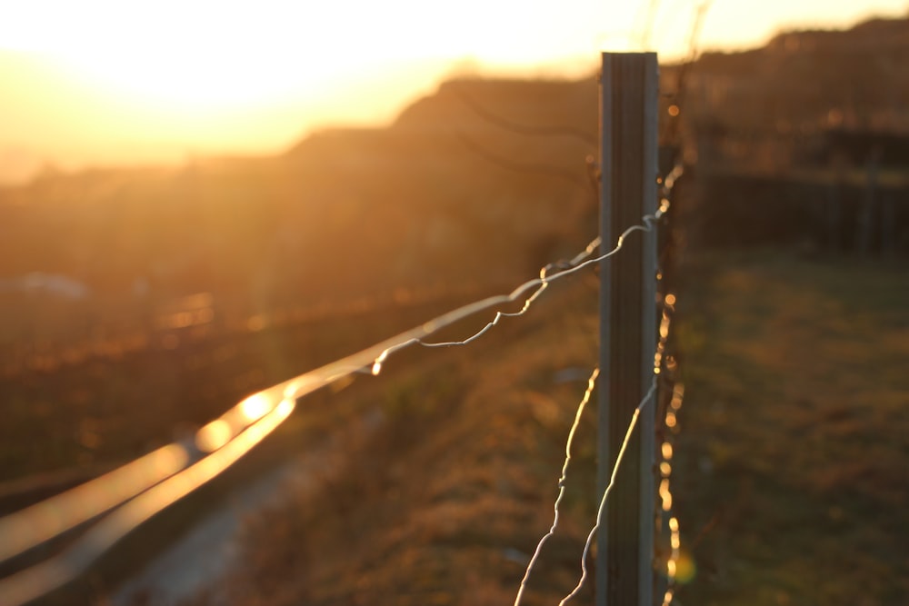 grey metal wire fence during sunset