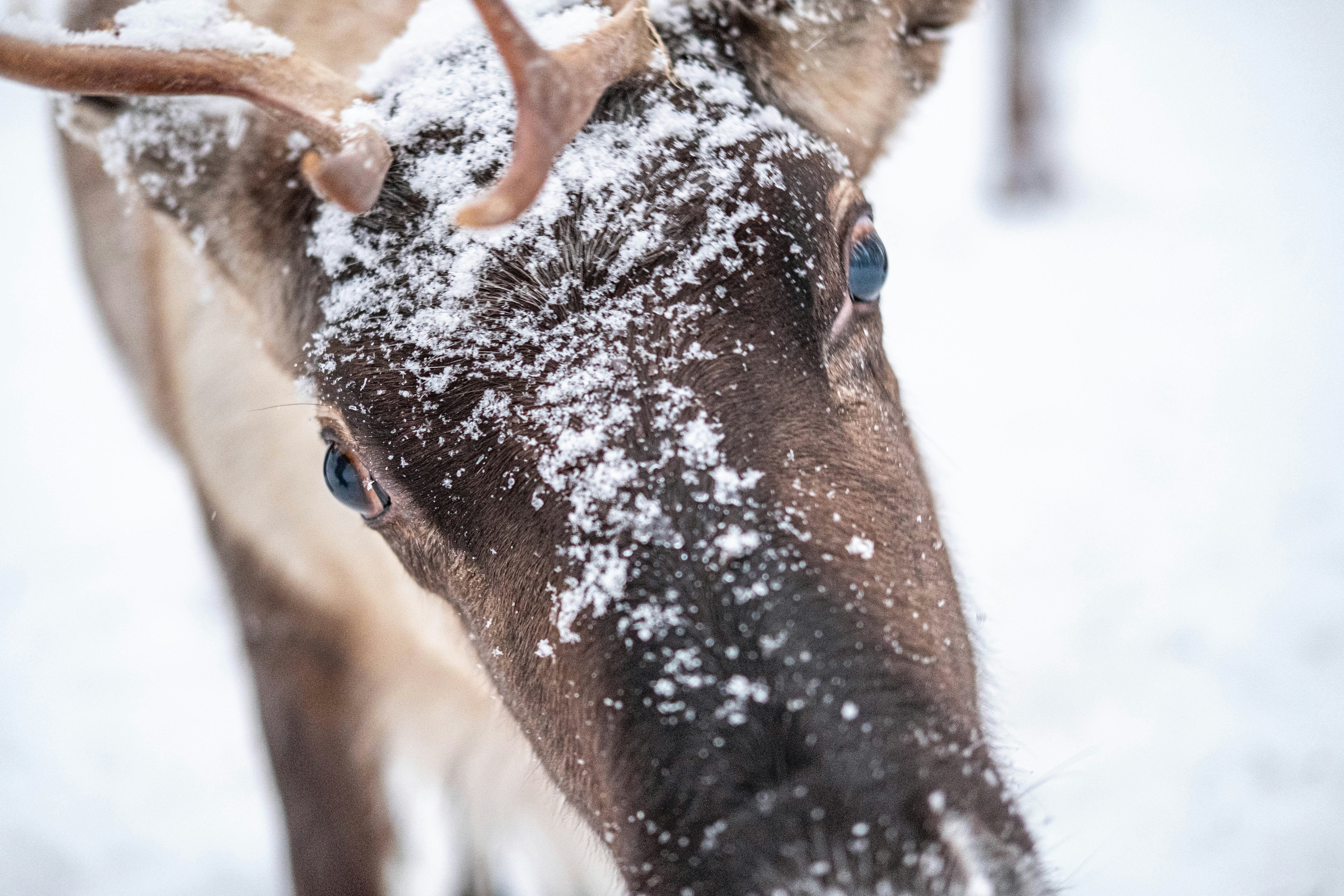 Photo by thejohnnyme