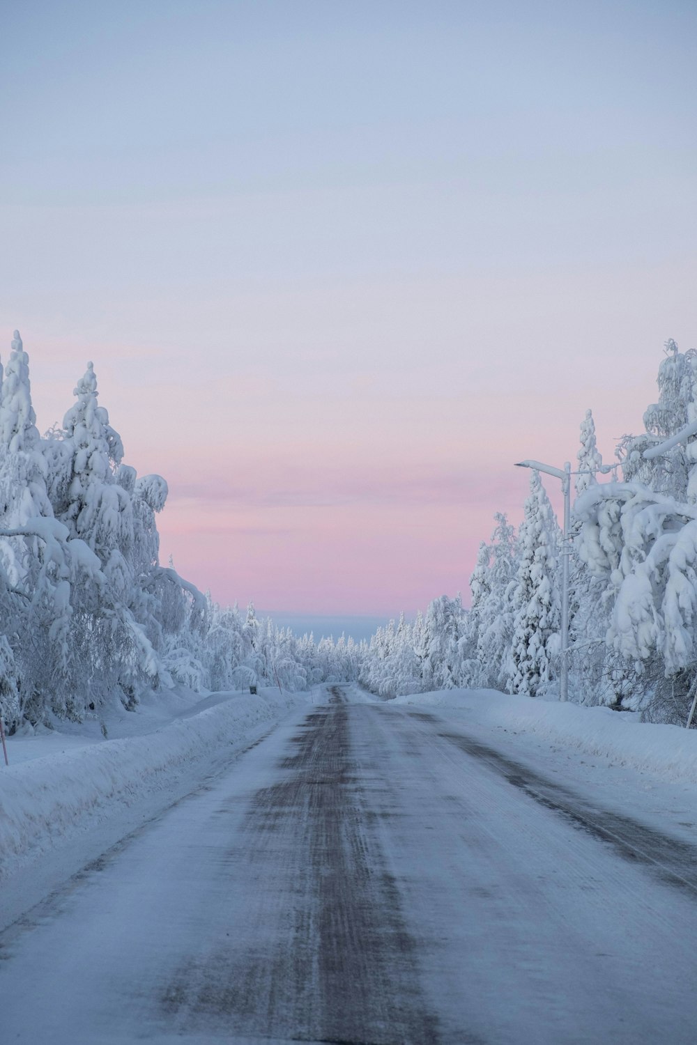 snow covered trees and road during daytime