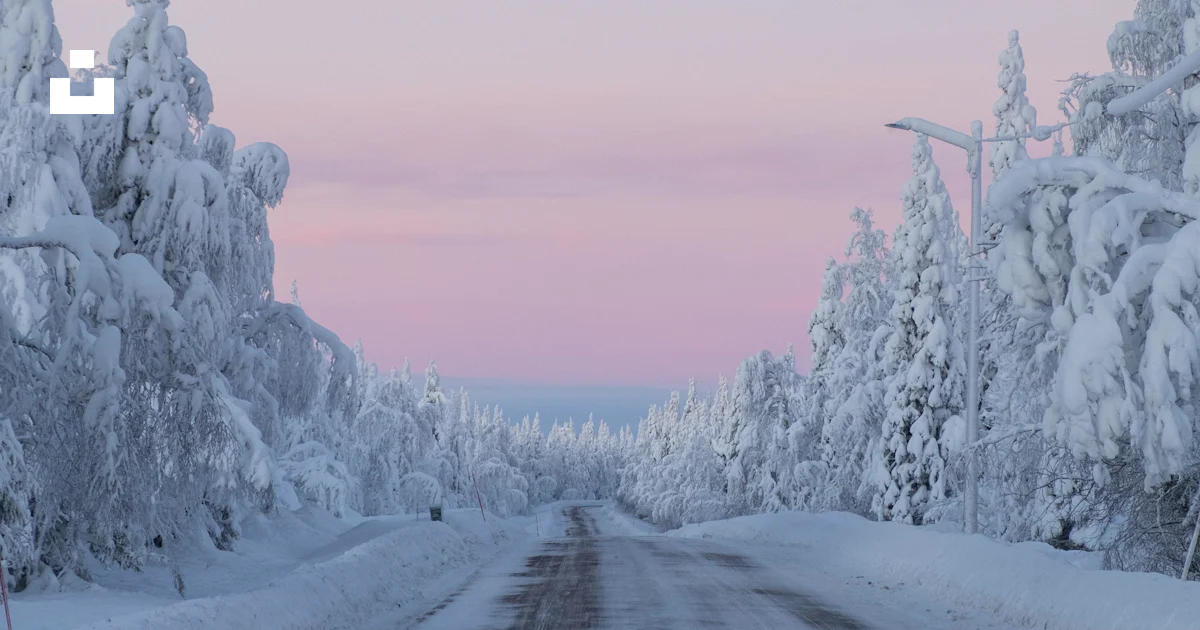 Schneebedeckte Bäume und Straßen tagsüber Foto – Kostenloses Bild zum ...